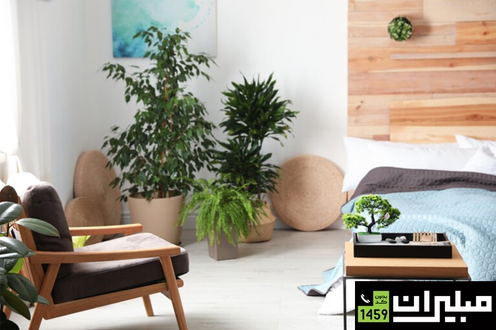 راهنمای دکوراسیون به سبک فنگ شویی