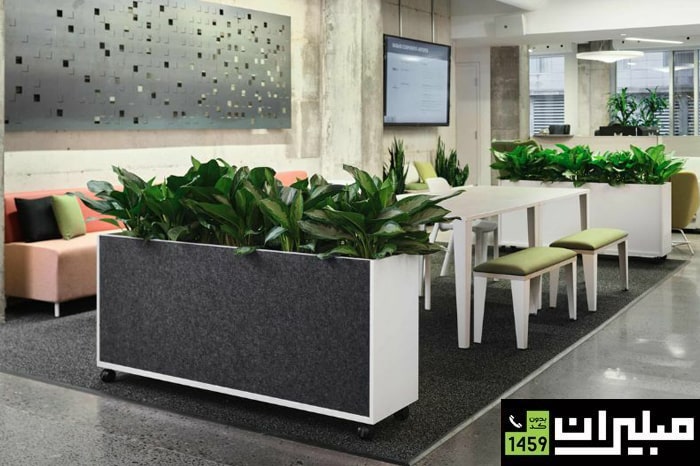  استفاده از گیاهان برای زنده کردن فضاهای پرت