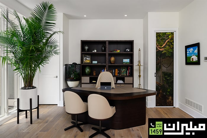 گیاهان سبز؛ انرژی‌بخش و سرزنده